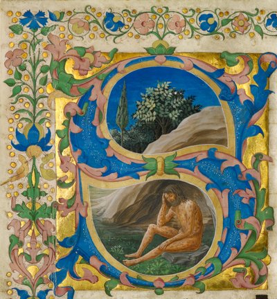 Počáteční S: Práce od Francesco di Antonio del Chierico