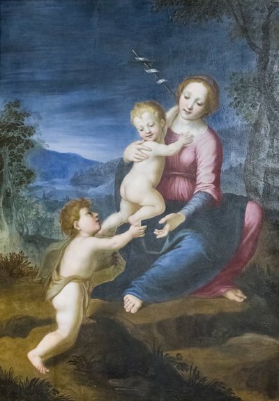 Neitsyt Jeesuksen ja Johannes Kastajan kanssa od Francesco di Cristofano Franciabigio