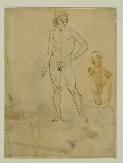 Stojící nahý mladík;Ježíšek;ženský portrét otočený doprava... od Francesco di Simone (attr. to)