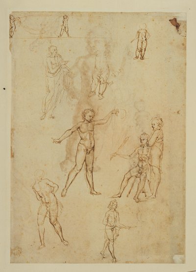 Obrázkové studie. Pero a hnědá tuš, kovová tuha Růžově zbarvený papír ... od Francesco di Simone (attr. to)