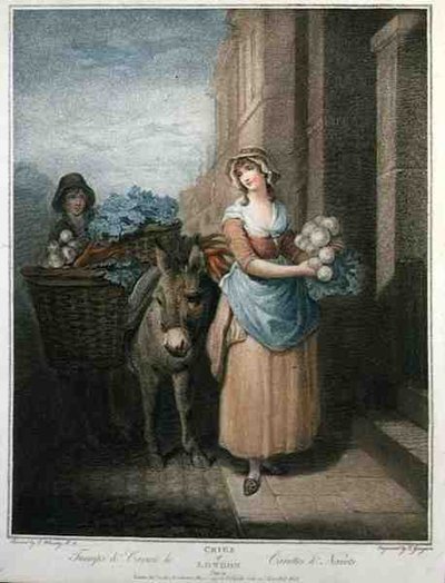 "Turnips and Carrots Ho", deska 13 