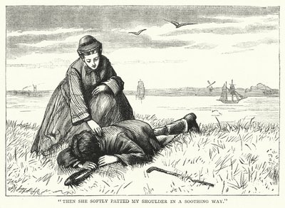 Ilustrace pro Velká očekávání od Charlese Dickense (rytina) od Francis Arthur Fraser