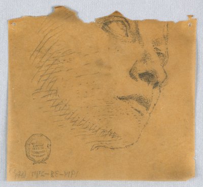 Částečný náčrt obličeje od Francis Augustus Lathrop