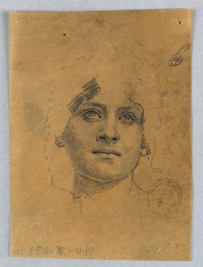 Náčrt ženské tváře od Francis Augustus Lathrop