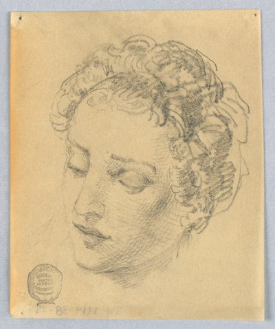 Náčrt ženské hlavy od Francis Augustus Lathrop