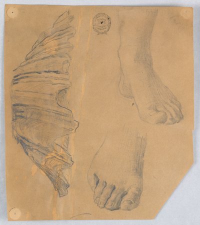 Studie nohou a rýhované lastury od Francis Augustus Lathrop