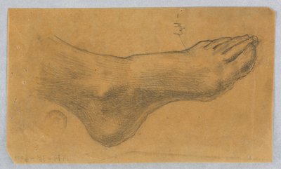Studie na "Diana a její účastníci mezi souhvězdími" od Francis Augustus Lathrop