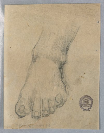 Studium pro nohu od Francis Augustus Lathrop