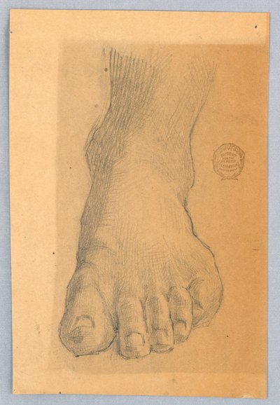 Studium levé nohy od Francis Augustus Lathrop