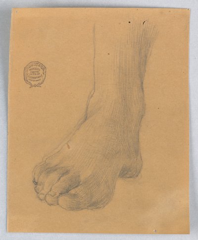 Studium pravé nohy od Francis Augustus Lathrop