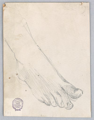 Studium pravé nohy od Francis Augustus Lathrop