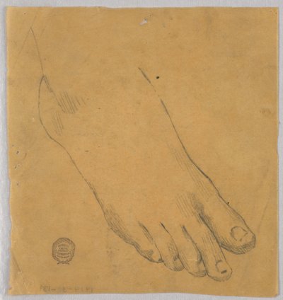 Studium pravé nohy od Francis Augustus Lathrop