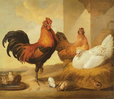 Kohout domácí, slepice a kuřata, 1655 od Francis Barlow