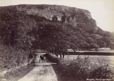 Abergele, jeskyně Tan-yr-ogo, 70. léta 19. století. od Francis Bedford