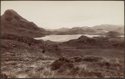 Arthog, jezero Creigene od Francis Bedford