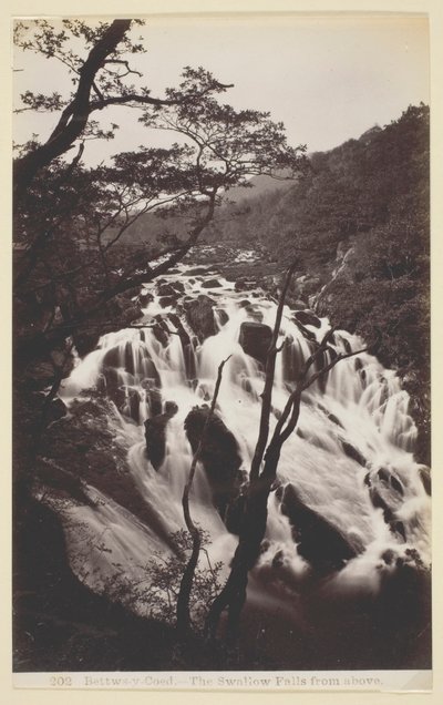 Betws-y Coed, Vlaštovka padá shora od Francis Bedford