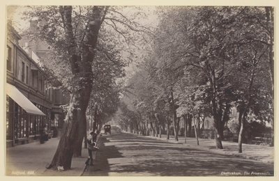 Cheltenham, promenáda od Francis Bedford