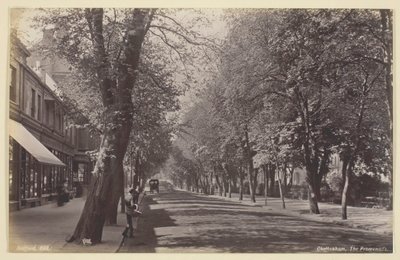 Cheltenham, Promenade, 186094. od Francis Bedford