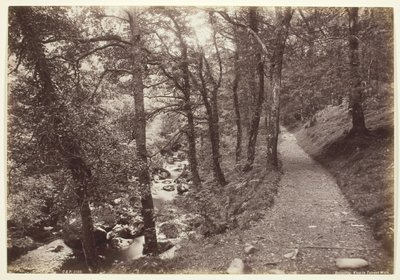 Dolgelley, Pohled v Torrent Walk od Francis Bedford