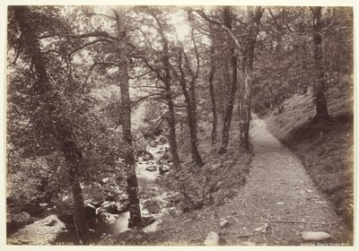 Dolgelley, Pohled v Torrent Walk, 186094. od Francis Bedford