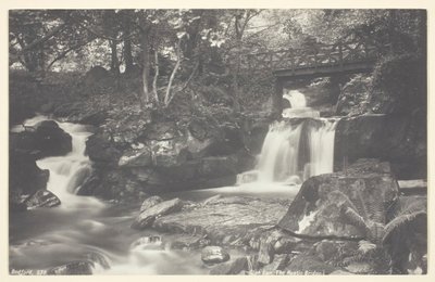Glen Lyn, Rustikální most, 186094. od Francis Bedford