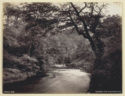 Ivy Bridge, Pohled na řeku Prysor, 186094. od Francis Bedford