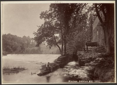 Wrexham, Erbistock Mill od Francis Bedford