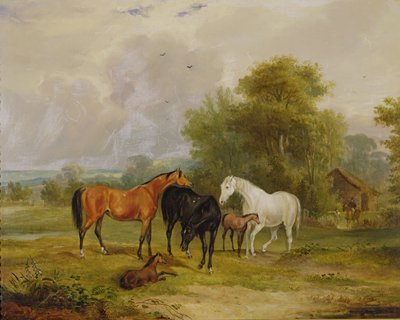 Pasení koní: Klisny a hříbata v poli od Francis Calcraft Turner