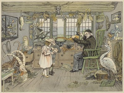 Bird-Stuffer (barevná litografie) od Francis Donkin Bedford