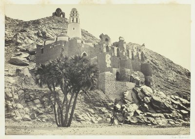 Doum Palm a zničená mešita, Philæ, 1857. od Francis Frith