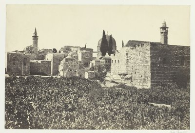 Tyrolské údolí, 1857. od Francis Frith