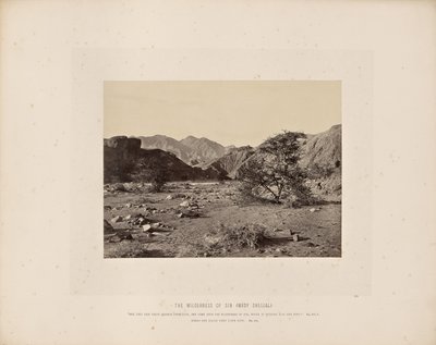 Divočina hříchu (Wady Shellal) od Francis Frith