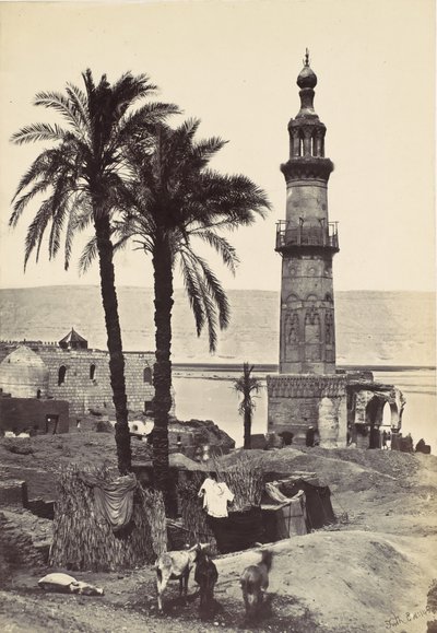 Pohled na Girgeh, 1857. od Francis Frith