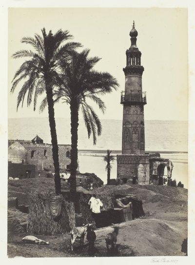 Pohled na Girgeh, Horní Egypt, 1857. od Francis Frith