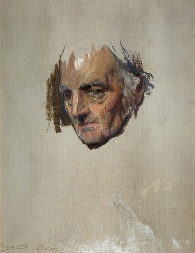 Hlava starého muže, 1871. od Francis Montague Holl