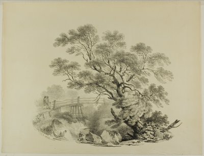 Strom a lávka od Francis Nicholson