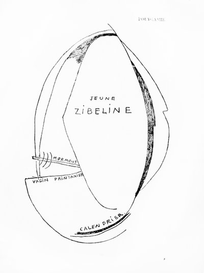 Poemes et Dessins de la Fille nee sans Mere, č. 15, vydalo nakladatelství Imprimeries Reunies, Lausanne. od Francis Picabia