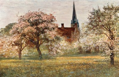 Olney od Francis S. Walker
