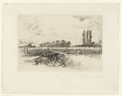 niva Vodní louka od Francis Seymour Haden (Sir) (signed by artist)