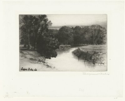 Západ slunce v Irsku Západ slunce v Irsku od Francis Seymour Haden (Sir) (signed by artist)