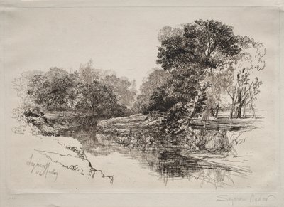 Řeka v Irsku, 1864. od Francis Seymour Haden