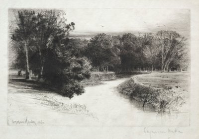 Západ slunce v Irsku, 1863. od Francis Seymour Haden