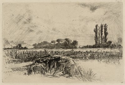 Vodní louka od Francis Seymour Haden