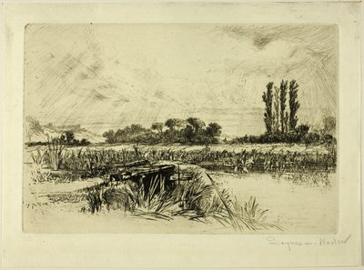 Vodní louka od Francis Seymour Haden