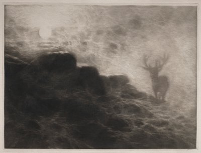 An Early Riser, 1897. od Francis Seymour Haden