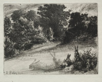 Hřebenové dno od Francis Seymour Haden