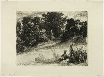 Hřebenové dno od Francis Seymour Haden