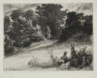 Combe Bottom. od Francis Seymour Haden