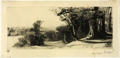 Brzy ráno, Richmond Park od Francis Seymour Haden