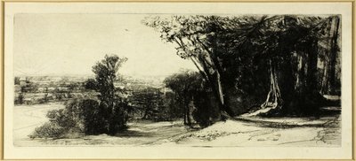 Brzy ráno, Richmond Park od Francis Seymour Haden